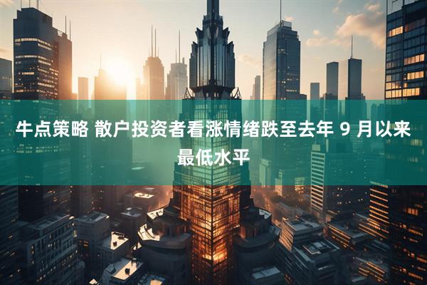牛点策略 散户投资者看涨情绪跌至去年 9 月以来最低水平
